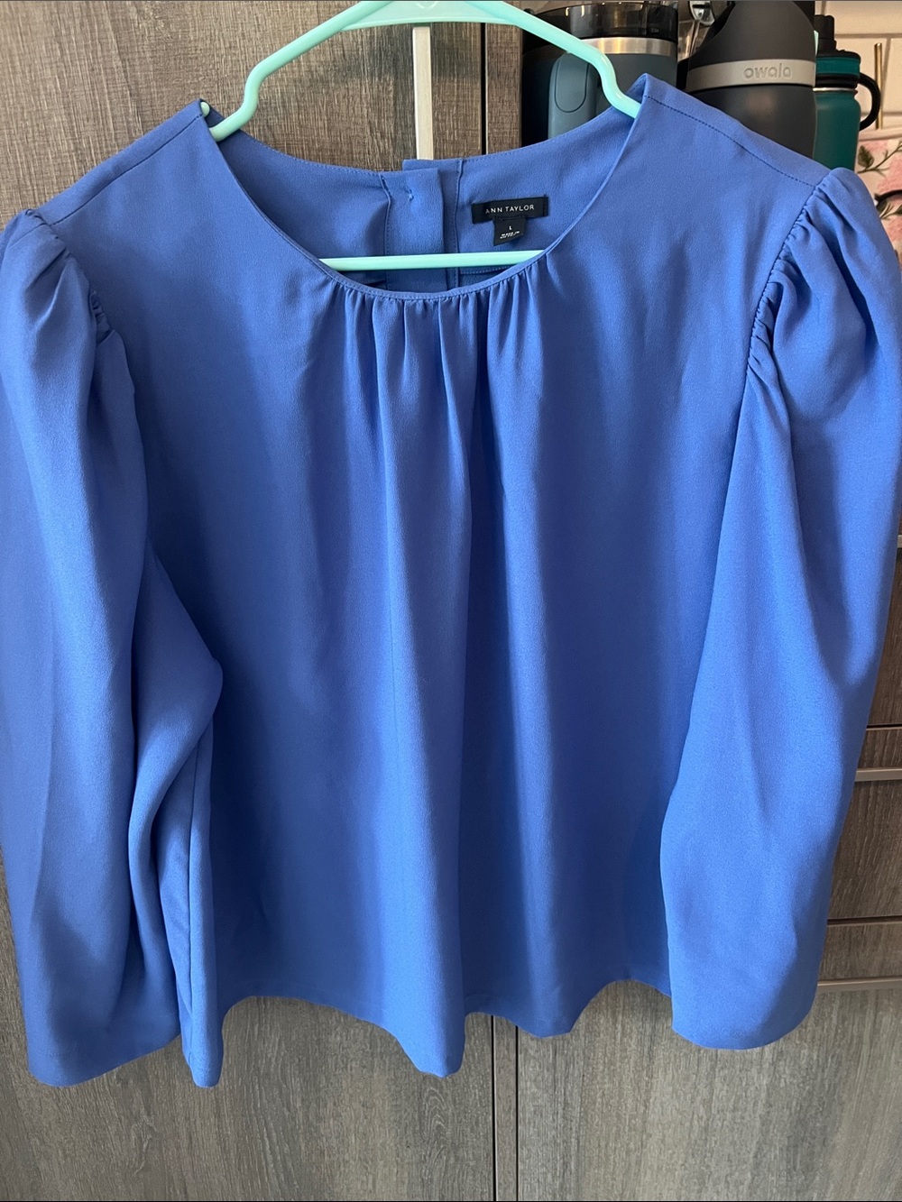 Ann Taylor Puff-Sleeve Blouse